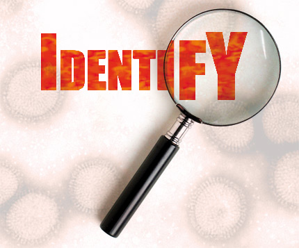  IDENTIFY 